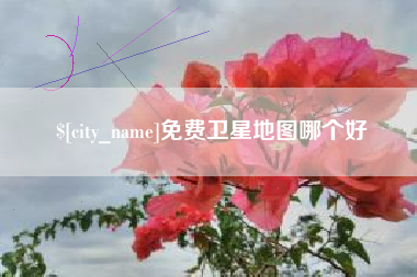 江山免费卫星地图哪个好