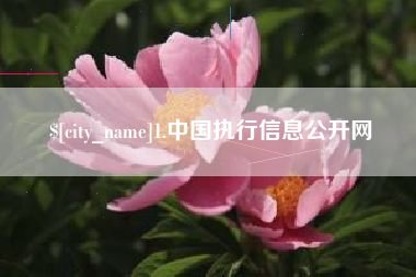 江山1.中国执行信息公开网