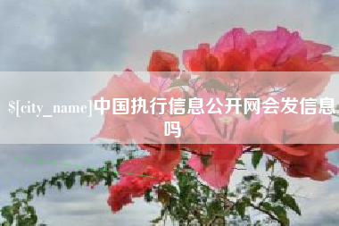 江山中国执行信息公开网会发信息吗