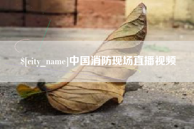 江山中国消防现场直播视频