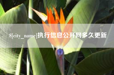 江山执行信息公开网多久更新