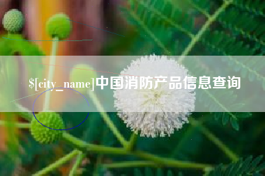 江山中国消防产品信息查询