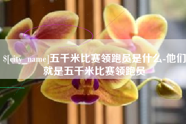 江山五千米比赛领跑员是什么-他们就是五千米比赛领跑员
