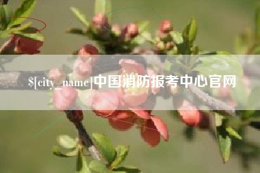 江山中国消防报考中心官网