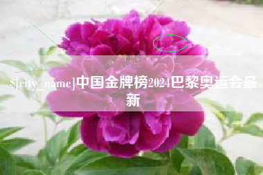 江山中国金牌榜2024巴黎奥运会最新
