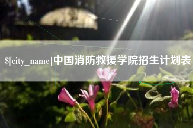 江山中国消防救援学院招生计划表