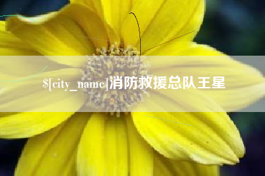 江山消防救援总队王星
