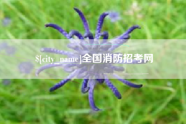 江山全国消防招考网
