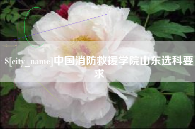江山中国消防救援学院山东选科要求