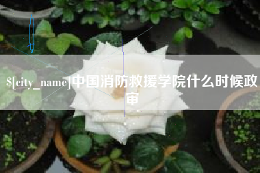 江山中国消防救援学院什么时候政审