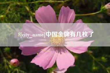 江山中国金牌有几枚了