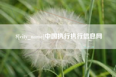 江山中国执行执行信息网