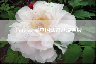 江山中国队第八块金牌