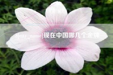 江山现在中国哪几个金牌