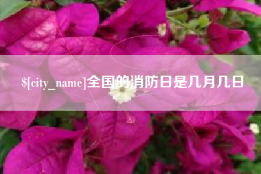 江山全国的消防日是几月几日
