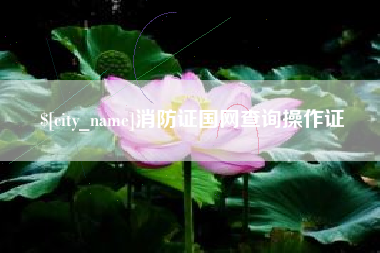 江山消防证国网查询操作证