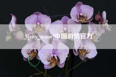 江山中国消防官方