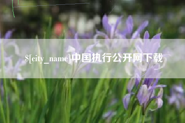 江山中国执行公开网下载