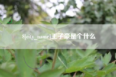 江山王子豪是个什么