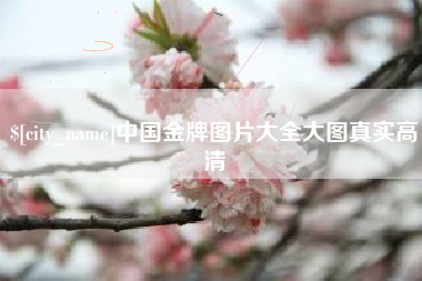 江山中国金牌图片大全大图真实高清