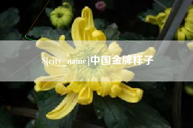 江山中国金牌样子