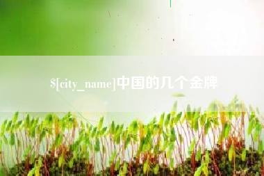 江山中国的几个金牌