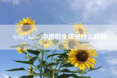江山中国的金牌是什么样的