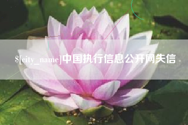 江山中国执行信息公开网失信