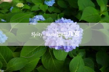 江山2022九宫