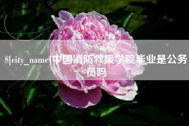 江山中国消防救援学院毕业是公务员吗