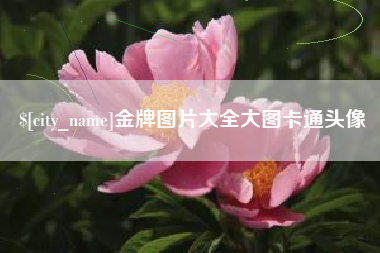 江山金牌图片大全大图卡通头像