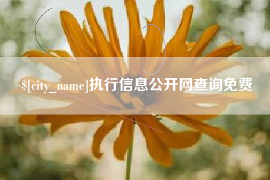 江山执行信息公开网查询免费
